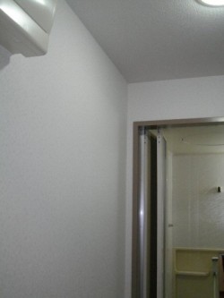 IMGP5381